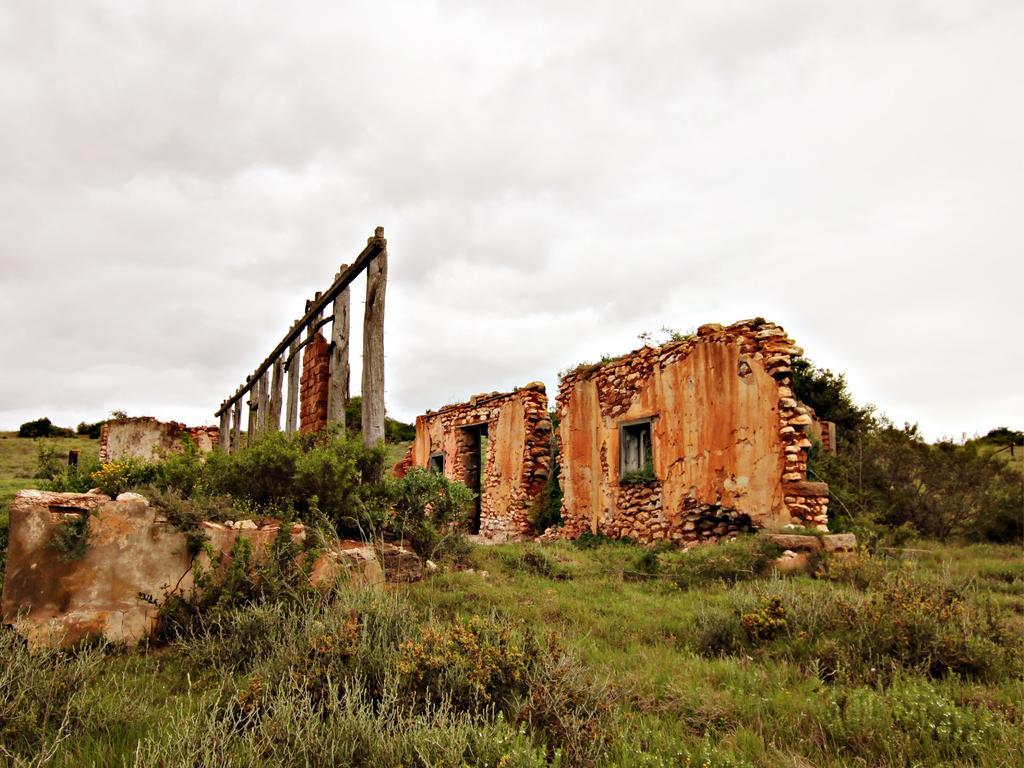 Hlosi Game Lodge - Amakhala Game Reserve Buyskloof Exterior foto