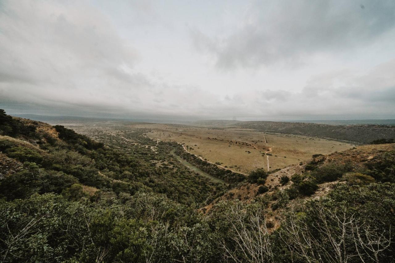 Hlosi Game Lodge - Amakhala Game Reserve Buyskloof Exterior foto