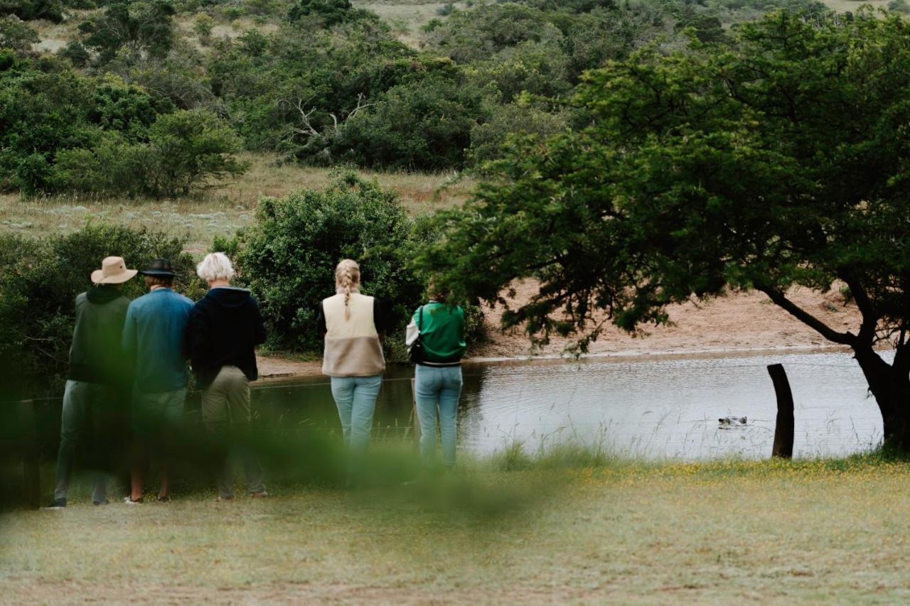 Hlosi Game Lodge - Amakhala Game Reserve Buyskloof Exterior foto