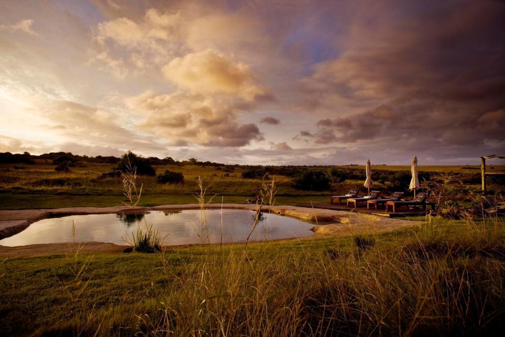 Hlosi Game Lodge - Amakhala Game Reserve Buyskloof Exterior foto